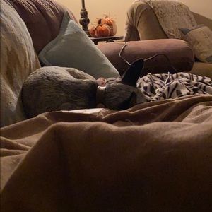 Meet your Posher, Sara